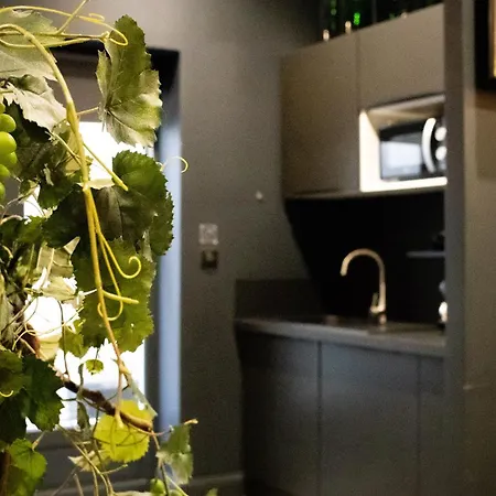 - Cinema Et Jacuzzi Shelby Lägenhet Bordeaux